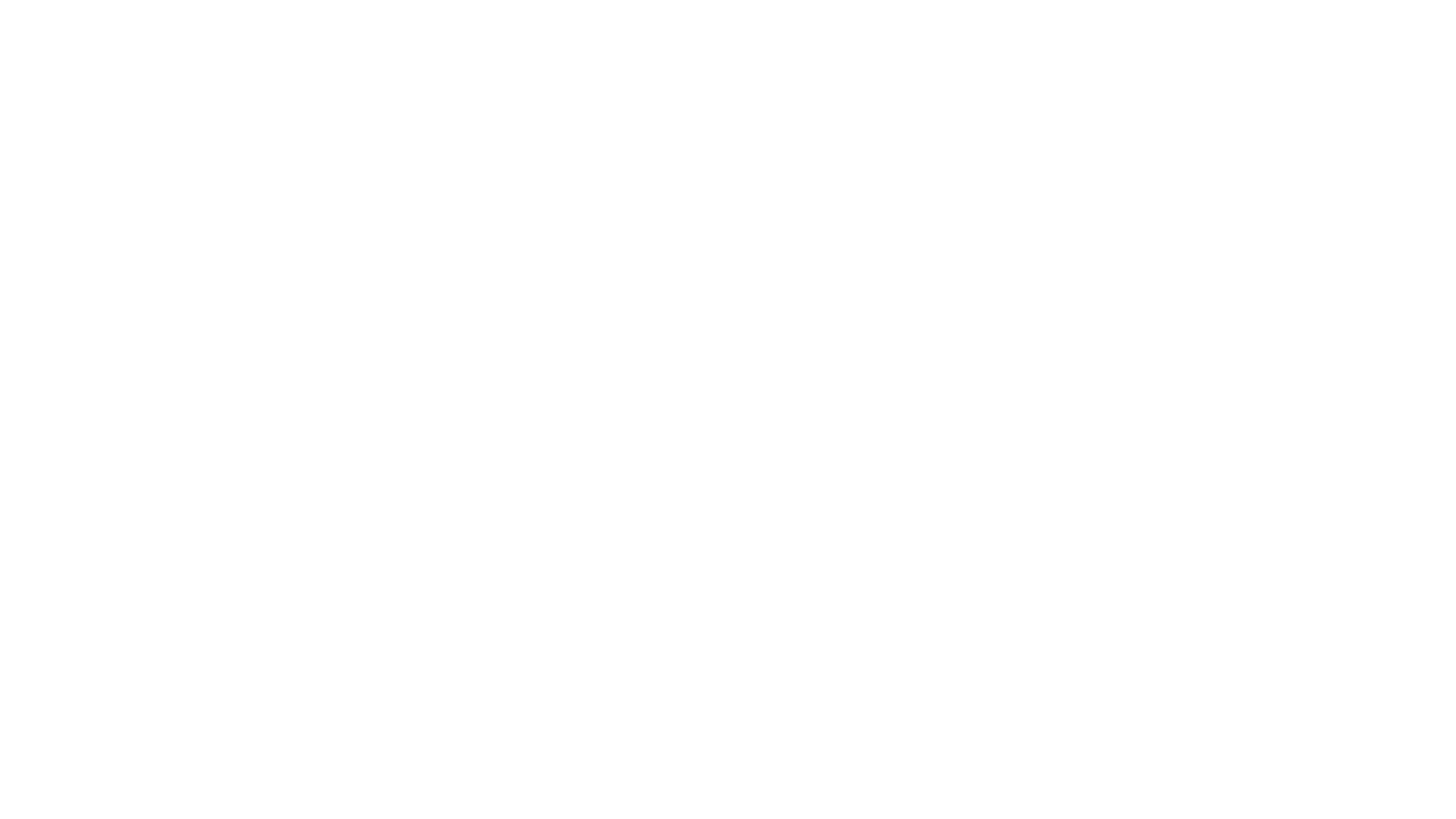ANIMAV2 logo